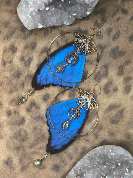 Celestial Moth & Morpho Hoops